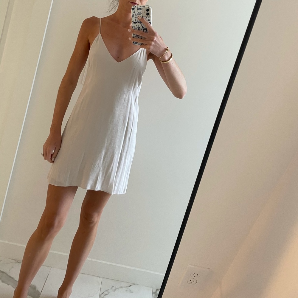Aritzia dress